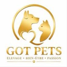 Shop Logo